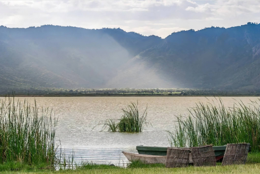Hippos and crocodiles